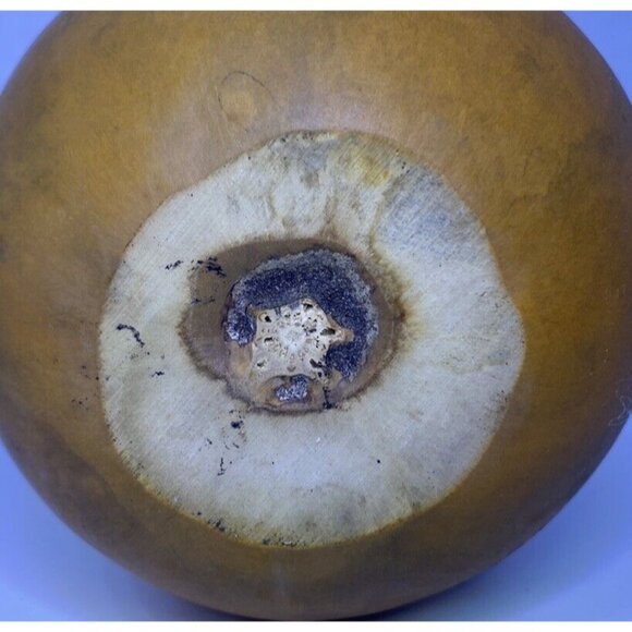 Hand Carved Gourd Kokopelli Folk Art Vase 5.5" Southwest - Picture 5 of 6